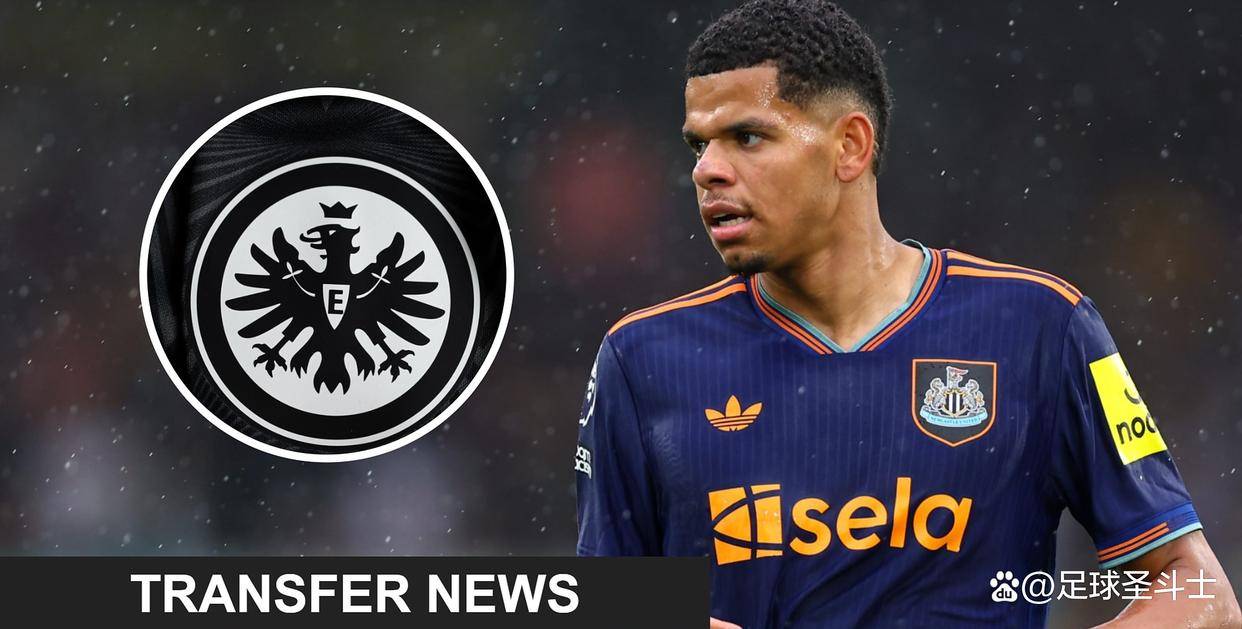 九游体育官网-今夜法兰克福备战欧篮联,远射贴柱细节曝光,悬念犹存,阵容厚度经受考验(fm2023中锋)